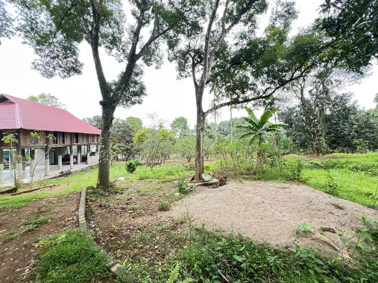 Chính chủ gửi bán lô đất nghỉ dưỡng tổng diện tích 12.000m2 có 1200m2 thổ cư Lương Sơn, Hòa Bình